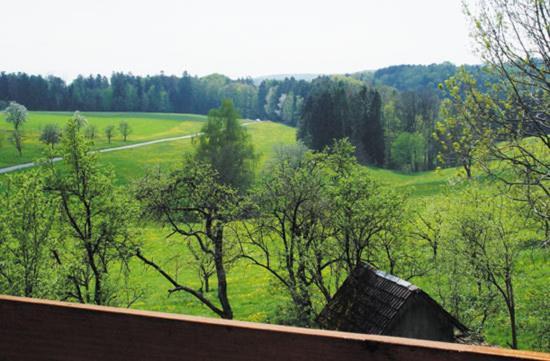 Gasthaus Zur Krone Freiamt Room photo